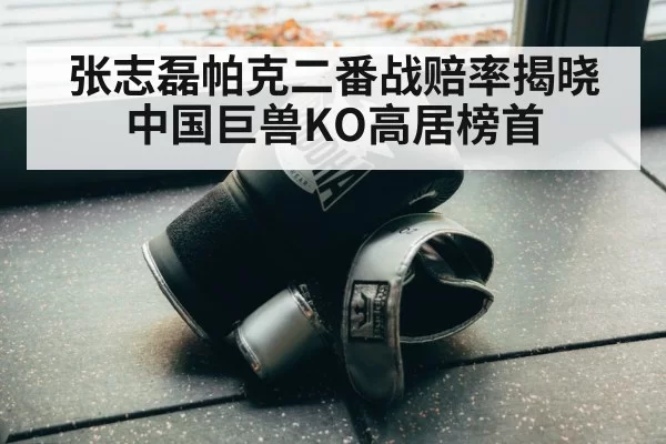 张志磊帕克二番战赔率揭晓中国巨兽KO高居榜首